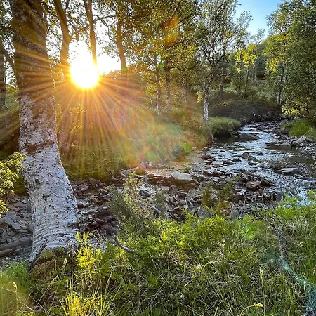 Waterfalls - Norway Mountain & Traveller Award Winner! Ferienhaus Voss
