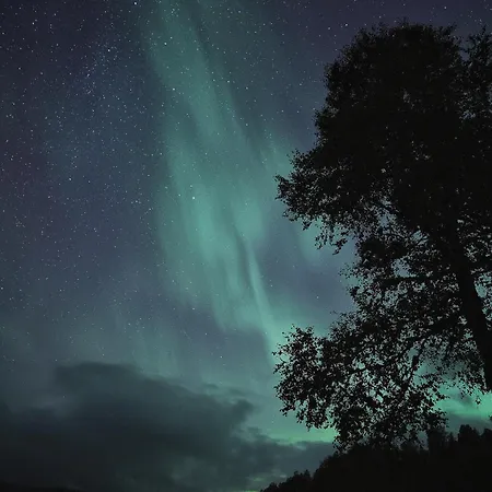 Waterfalls - Norway Mountain & Traveller Award Winner! Semesterbostad Voss