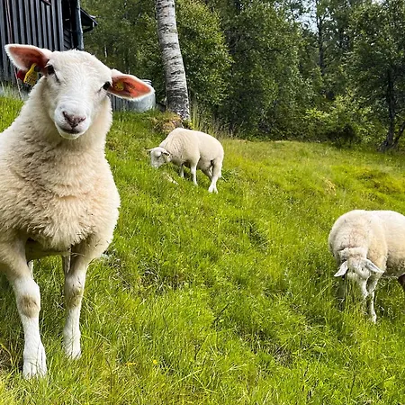 Waterfalls - Norway Mountain Cabin&traveller Award Winner! Feriehus *