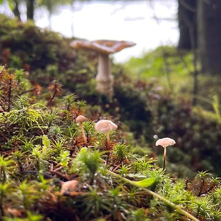 Waterfalls - Norway Mountain & Traveller Award Winner! Ferienhaus *