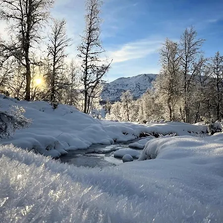 Feriehus Waterfalls - Norway Mountain Cabin&traveller Award Winner! Voss