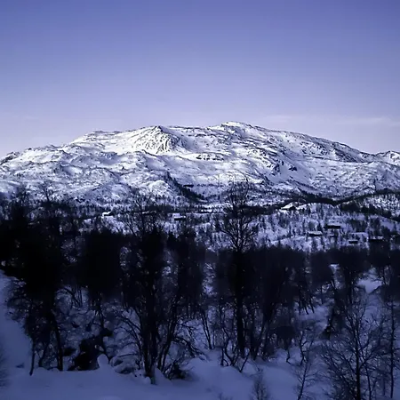 Waterfalls - Norway Mountain & Traveller Award Winner! Semesterbostad Voss