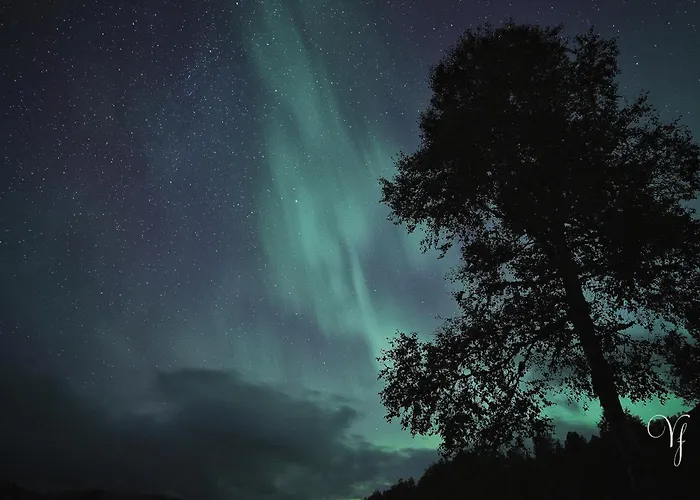 Waterfalls - Norway Mountain & Traveller Award Winner! Ferienhaus Voss