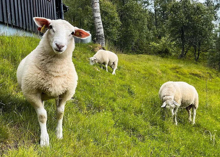 Waterfalls - Norway Mountain & Traveller Award Winner! Dom wakacyjny *