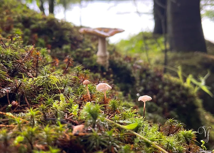 Waterfalls - Norway Mountain & Traveller Award Winner! Ferienhaus *