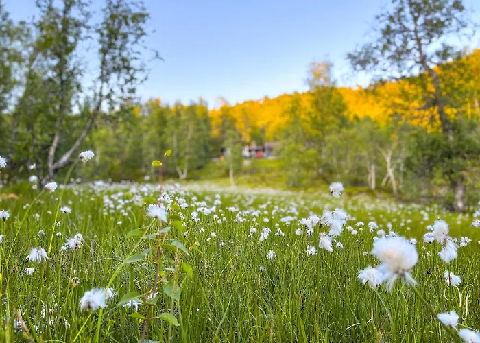 Waterfalls - Norway Mountain & Traveller Award Winner! *