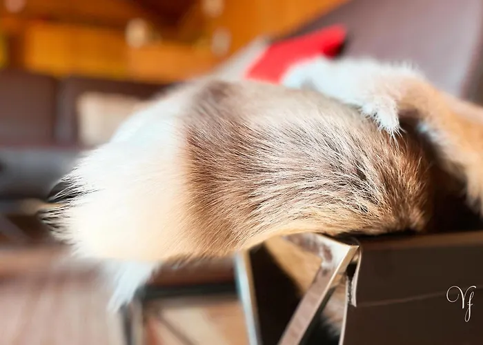 Waterfalls - Norway Mountain & Traveller Award Winner! Voss