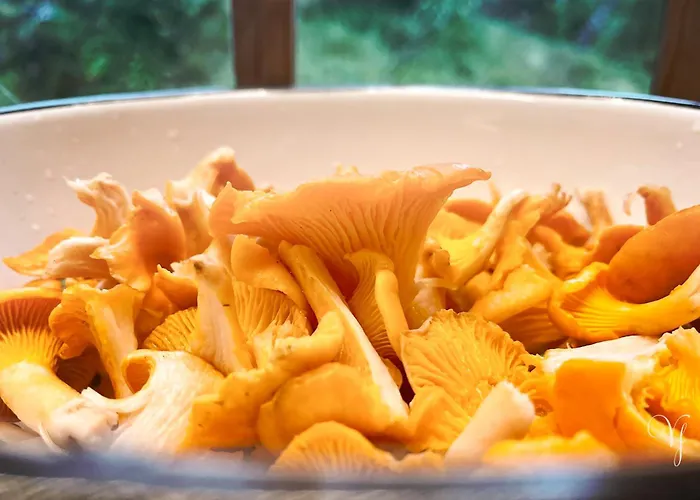 Waterfalls - Norway Mountain & Traveller Award Winner! Voss