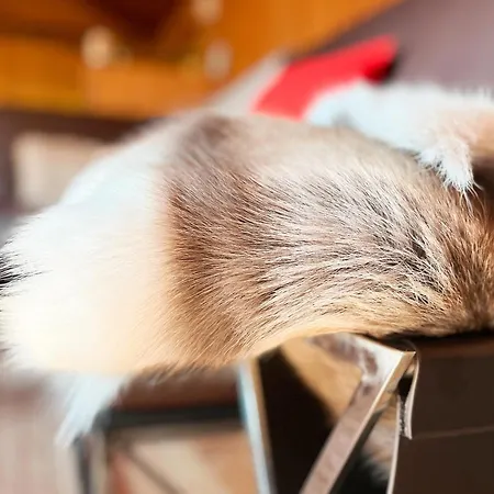 Waterfalls - Norway Mountain & Traveller Award Winner! Voss