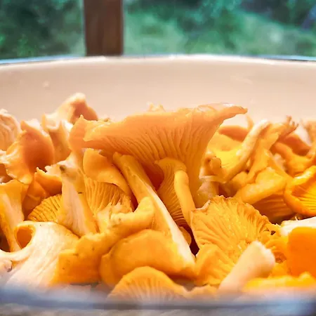 Waterfalls - Norway Mountain & Traveller Award Winner! Voss