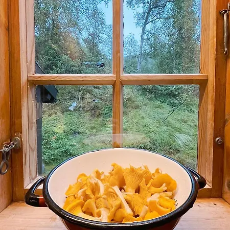 Waterfalls - Norway Mountain & Traveller Award Winner! * Voss